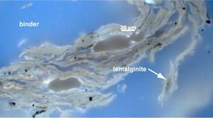 Concentration of Organic Matter Image