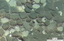 Textinite with cell fillings and empty cavities. White light excitation. Oil immersion lense