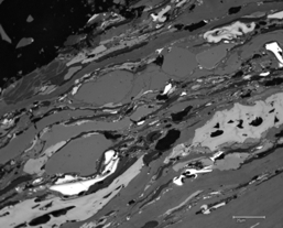 Photomicrograph of RIC08 round robin sample (Australia, Bowen Basin)