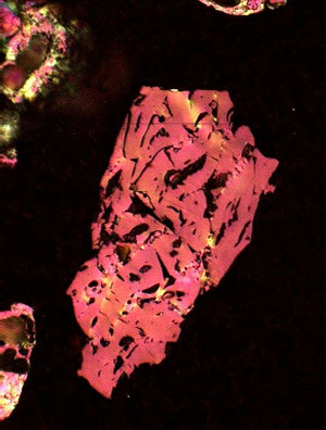 Inertinite-derived isotropic char particle, virtually unaltered during pyrolysis (FUSINOID)